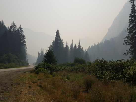 Die letzten Spuren von den zahlreichen Bränden im Sommer....