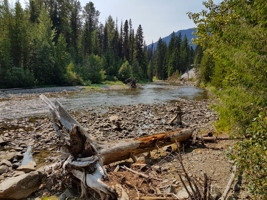 Manning Provincial Park.
