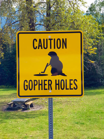 Kennt jemand den Film "Caddyshack"?