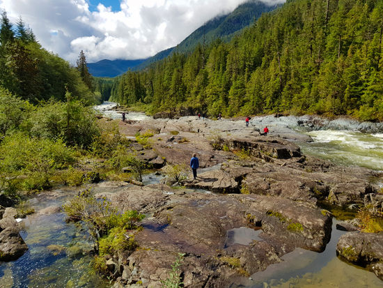 Wildes Vancouver Island...