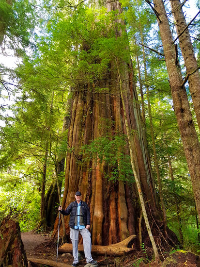 Wild Pacific Trail Ucluelet