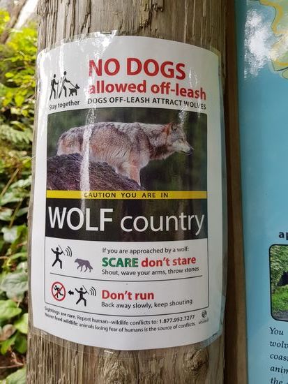 Gut, dass mir der nicht begegnet ist...