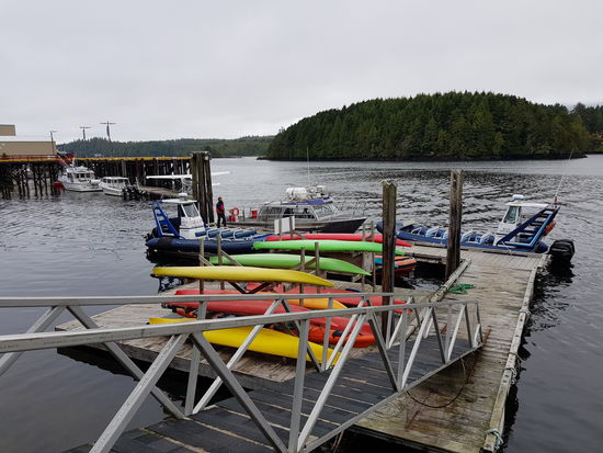 Jamie's Walewatching