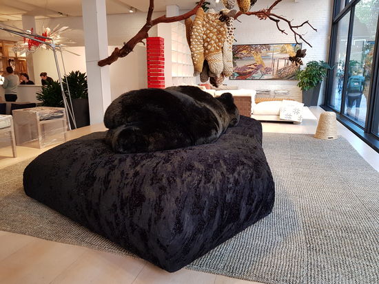 Doch noch einen Bär aus der Nähe gesehen....