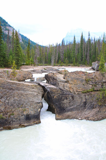 Natural Bridges, Yoho N.P.
