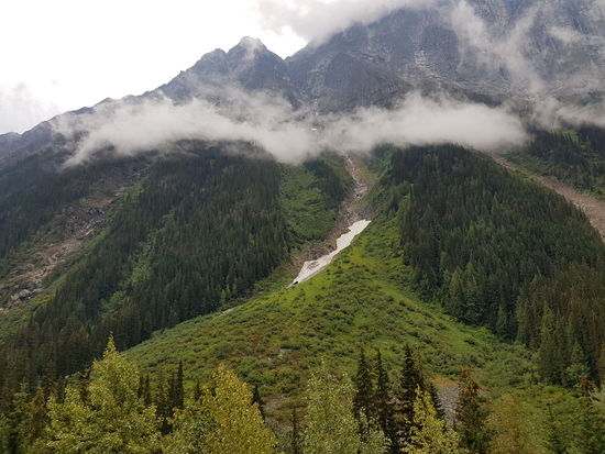 Rogers Pass
