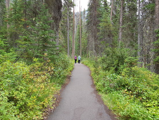 Wanderweg um den Emerald Lake