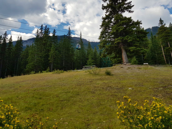 Seilbahn zum Sulphur Mountain