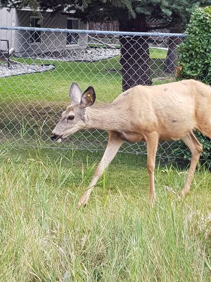Mitten in der Stadt....