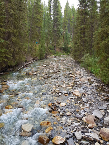 Johnston Canyon