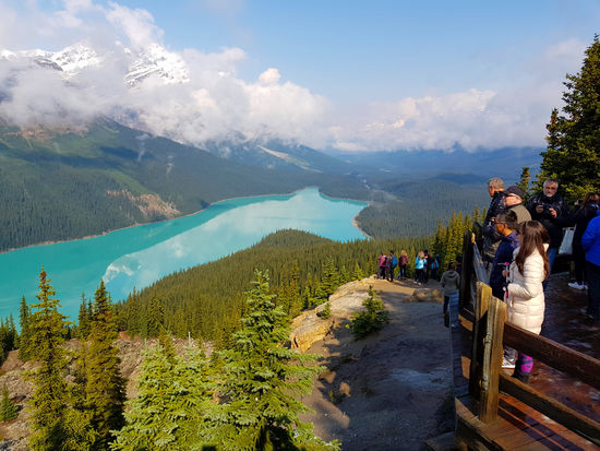 Peyto Lake