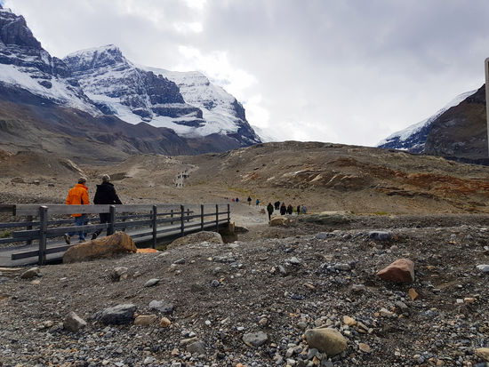 Auf dem Weg zum Athabasca Gletscher