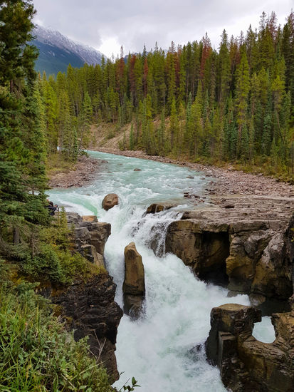 Sunwapta Falls