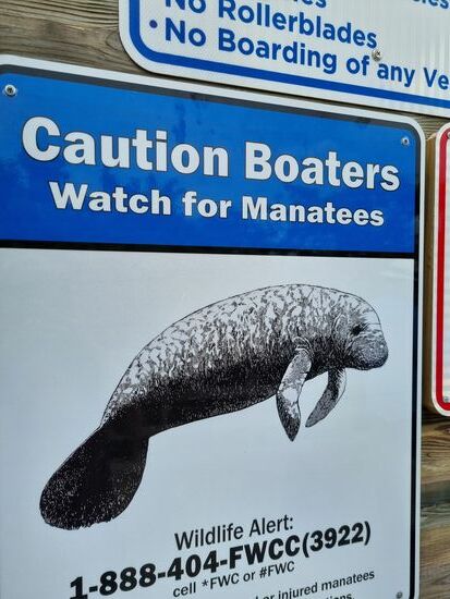 Immer wieder schön.