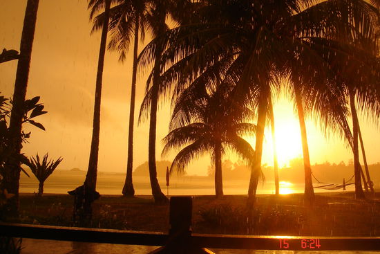 Das war morgens um halb sieben, als es geregnet hat. Das Bild ist nicht nachbearbeitet. Es war wirklich alles wie aus Gold!