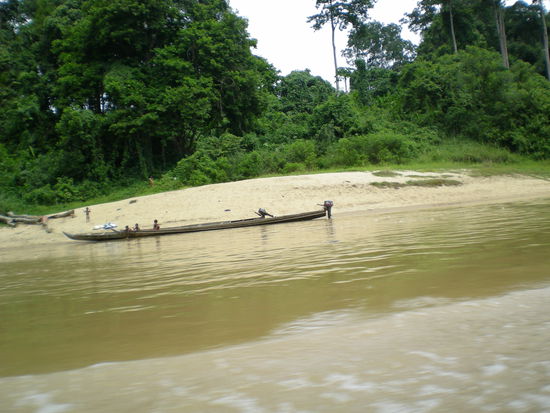 Auf dem Weg in den Regenwald