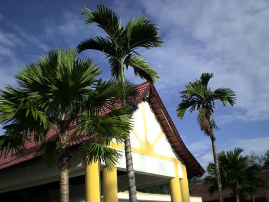 Unser "Woodland - Resort"