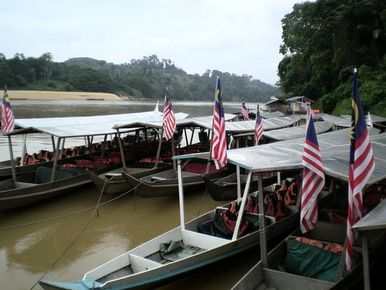 Auftakt zum Taman Negara. Von hier aus gings los. Ich war schon beeindruckt, als ich den Tembeling River, dieses breite, braune Band, gesehen habe. Auch wenn ich die Bilder aus Reiseführern schon kannte. Die Boote waren anfangs ja nicht so vertrauenerweckend - haben uns aber sicher ans Ziel und wieder zurück gebracht.