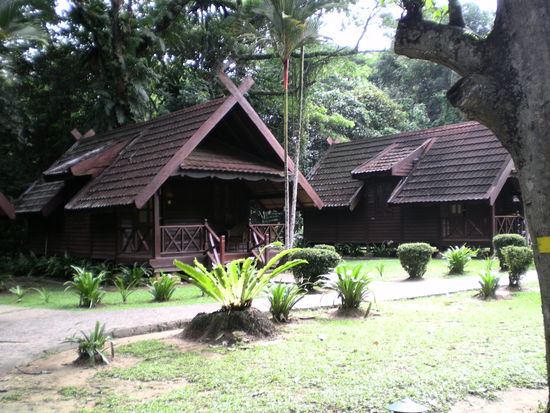 Also wenn ihr mal in den Taman Negara fahrt, dann nehmt euch am Besten gleich ein Zimmer im Mutiara Resort, das gleich im Nationalpark ist. Auf der anderen Seite sind alles nur für hartgesottene Backpacker oder Kompromisslösungen.
Das Mutiara hat verschiedene Preisklassen und schaut doch schön aus, oder?