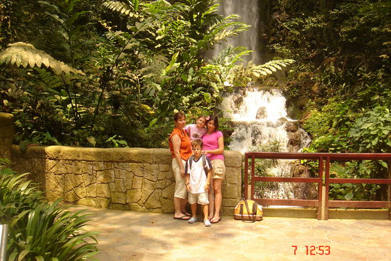 Auch im Jurong Birdpark ist einer der größten künstlichen Wasserfälle.