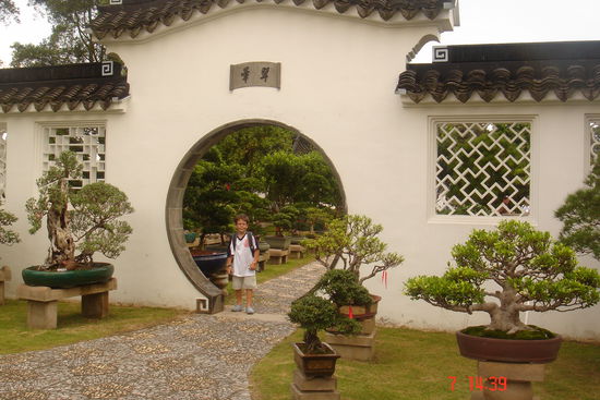 Dieses Bild vom Bonsai-Garten (auch im japanischen Garten natürlich) ist wohl in jedem Reiseführer so oder ähnlich. Adrian hat sich hier auf die Suche nach dem ältesten Baum gemacht.