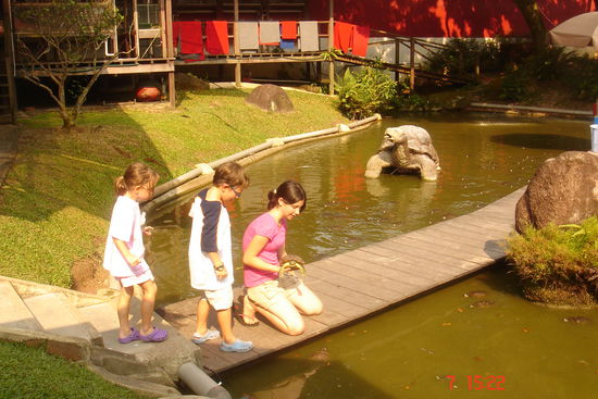 Schildkröten füttern musste auch noch sein. Kann man sich ohne Kinder bestimmt sparen. Mir sind diese Tiere nicht so ganz geheuer...