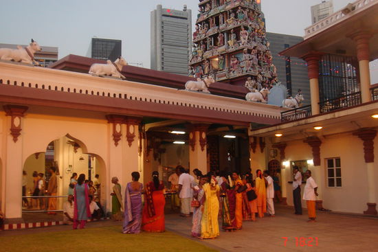 Zum Abschluss haben wir noch einen Hindutempel besichtigt. Weil nämlich der größte Hindutempel in Chinatown steht. (Hindus sind überwiegend Inder - nur für die, die noch nie in Asien waren).
Mir haben ja schon in Indien die tollen Saris immer gefallen. Aber hier noch der Kontrast zwischen diesem "kitschigen Tempel" und den ultramodernen Hochhäusern im Hintergrund, das war schon toll!