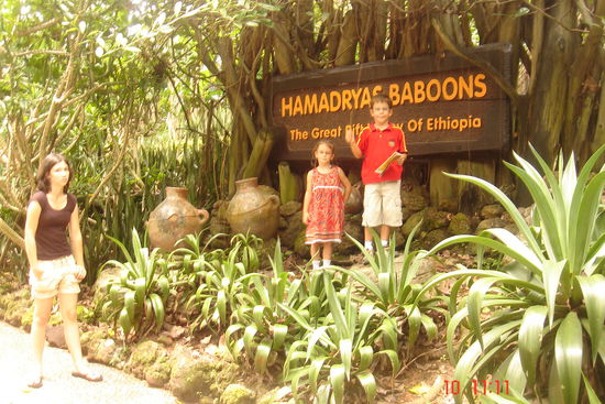 Hier sind wir dann nach Afrika, Äthiopien. Da waren nicht nur die Tiere ausgestellt, sondern sogar noch ein richtiges Dorf nachgebaut.