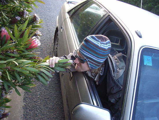 Wanganui- 
Parktour im Auto