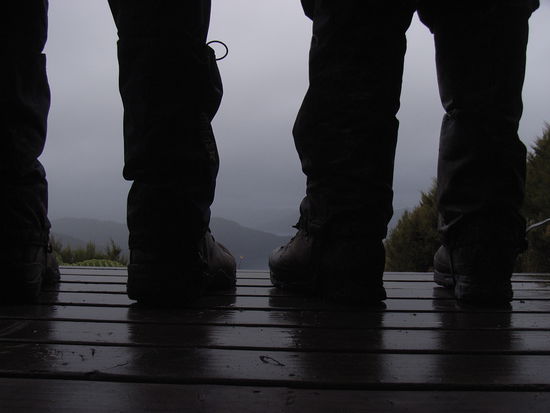 Queen Charlotte Track-
Innehalten