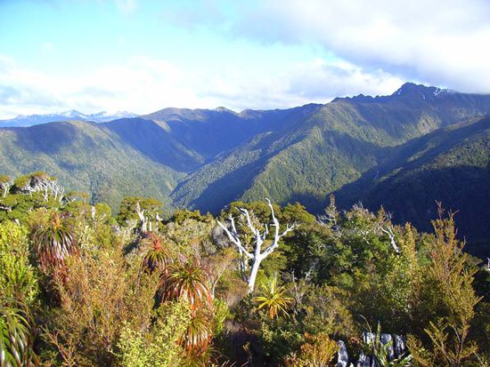 Ausblick Heaphy Track