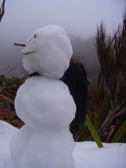 Zeit fuer Quatsch auf dem
Wangapeka Track