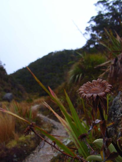 Da scheint sie nicht mehr, die Sonne