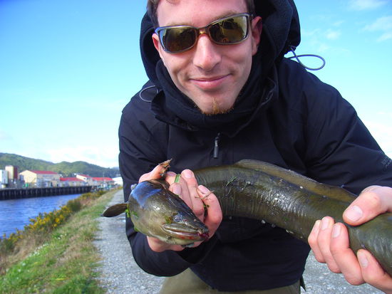 Der ging zurueck in die Bruehe aus der er kam