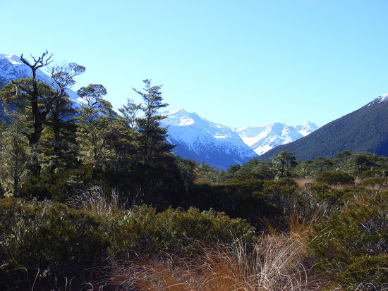 Aussicht auf unserer Ueberfahrt nach Christchurch