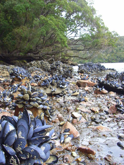 Da haben wir uns auch noch mal bedient