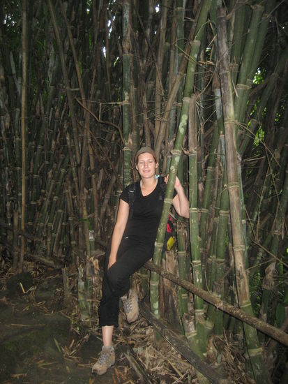 Sarah vorm Bambus im NP