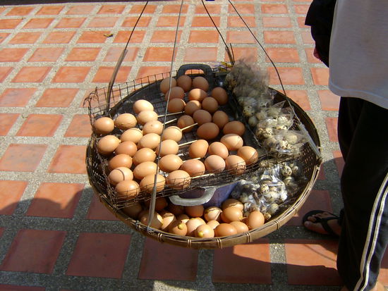 Eier am Stiel (ist das nicht eckelig...wir konnten uns nicht ueberwinden das zu probieren!)