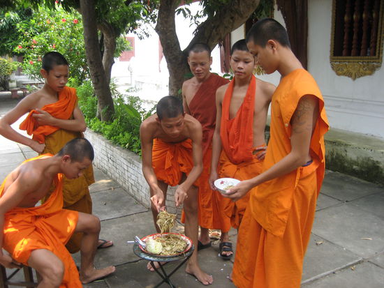Moenche beim essen (sieht doch echt komisch aus, oder nicht?)