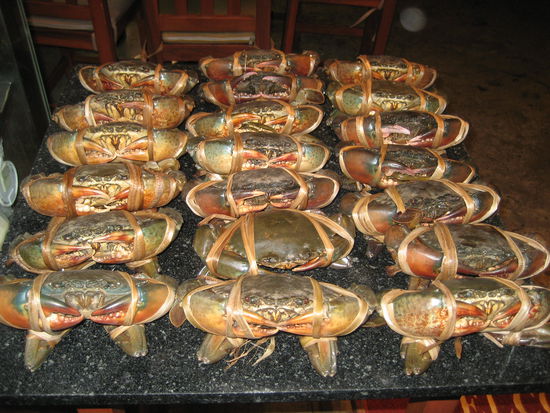 lecker Krebse in China Town