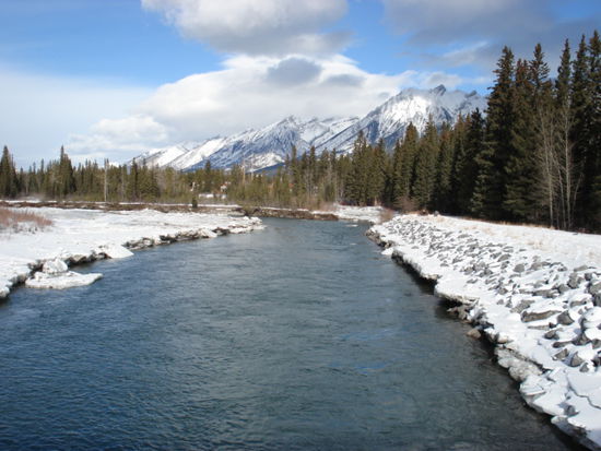 Blick auf den Bow River