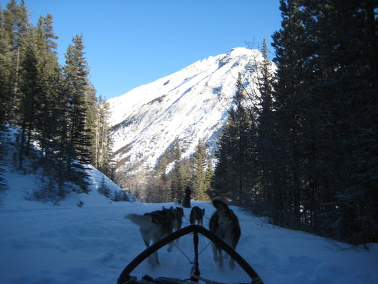 Perspektive ausm Schlitten.