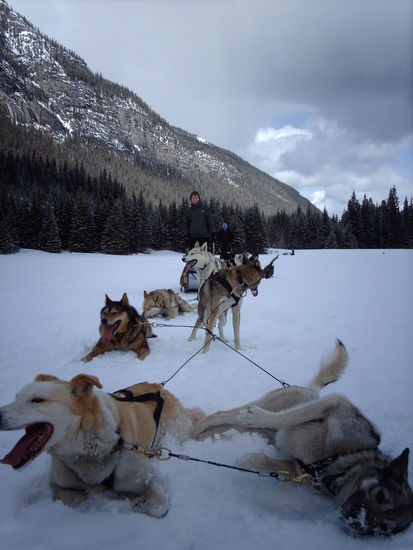 Pause (nein, der vorne links ist nicht tot, kuehlt sich nur ab).