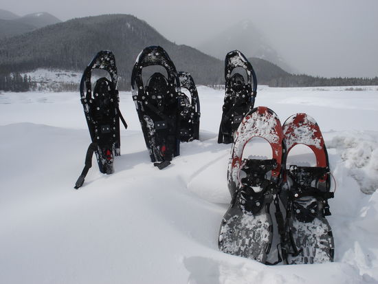 Our Snowshoes.
