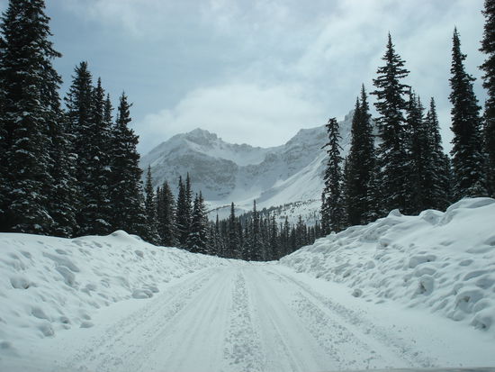 The street conditions were normally not as poor as seen here.
