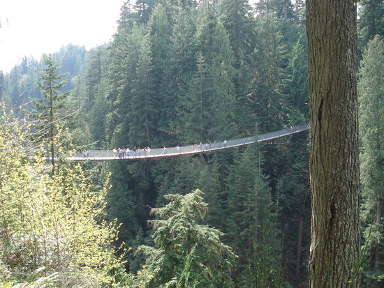 Suspension bridge near Vancouver (and yes I've been on there).