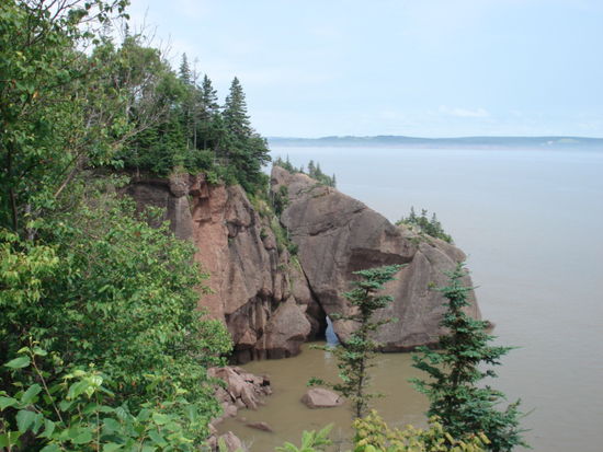 Küste bei den Hopewell Rocks