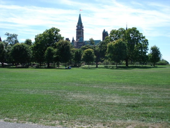 Mein Park