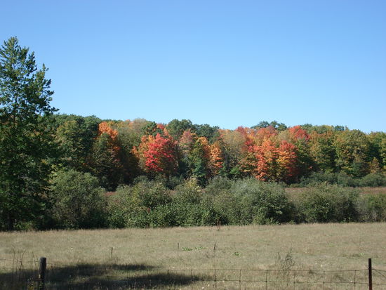 Man kann schon erahnen, wie das mal aussieht wenn erst alles in Rot erstrahlt.
