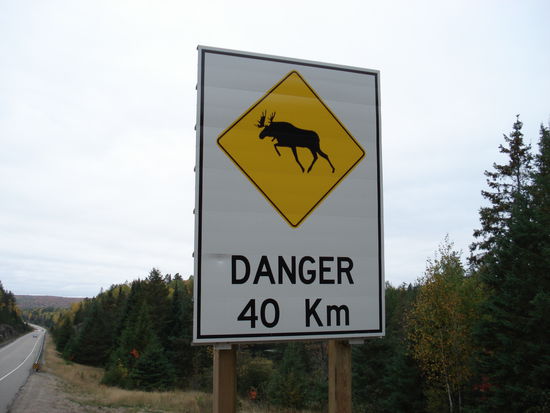 Gut, dass wir die bei dem Nebel nicht getroffen haben.